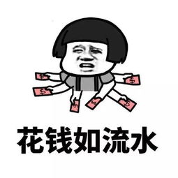 2017年度总结表情包下载2017年度总结表情包图片大全娱乐高清无水印版极光下载站