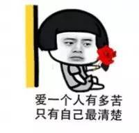 爱信不信表情包