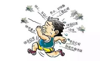 夏季驱蚊大作战那些不可错过的驱蚊常识