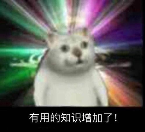 2020年cvpr有哪些优秀的论文
