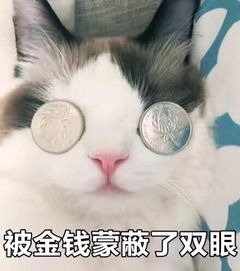盏神瞎bb看完此秘籍农药上王者