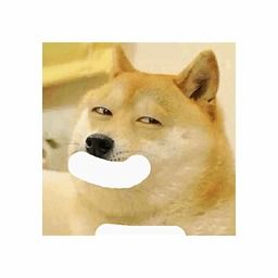 表情包app