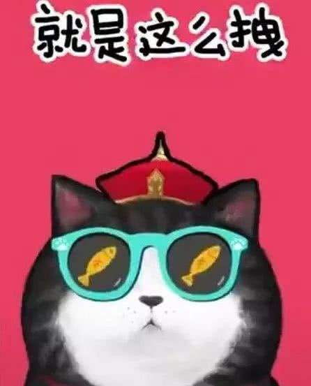 我的收藏夹