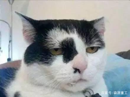 工地表情包新鲜出炉,快看看有没有你的身影