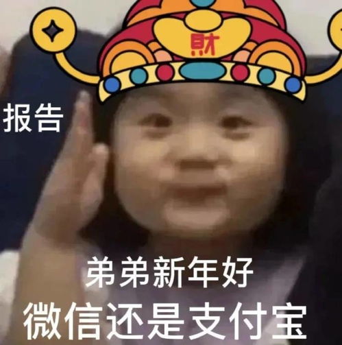 笑话你个骗子你说你是厨师