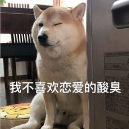 笑话段子你连我妈妈都不怕厉鬼没有她凶,也没有她丑