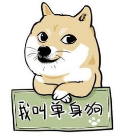 这个公司全是白富美,专挑30岁以上男子开撩2000多人上当