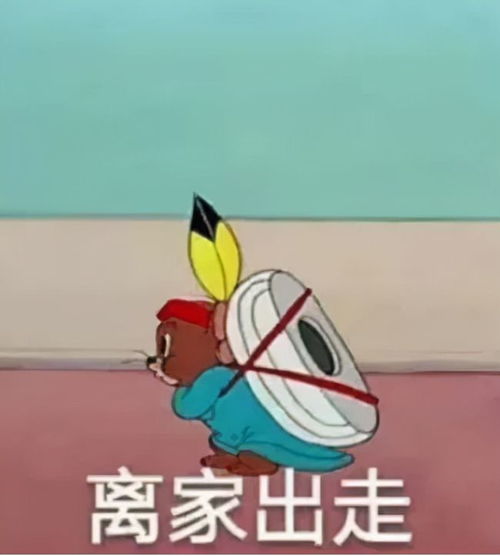 没有半点默契,全靠真爱支撑的星座配对