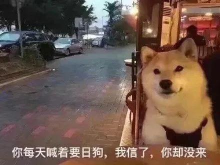 七夕搞笑表情包青蛙孤寡单身狗出租一套