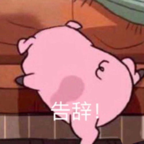 野钓奔着大物去,没成想却遇小鬼当家