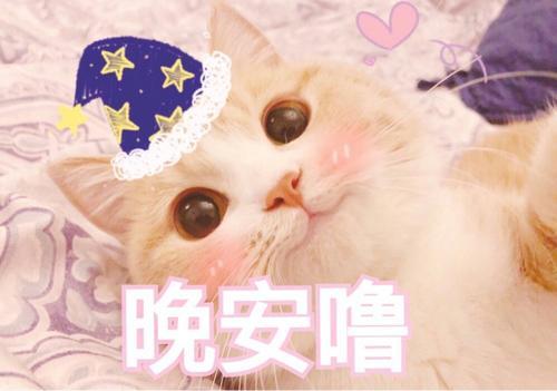 晚安表情包,沙雕型和可爱型你喜欢用哪种