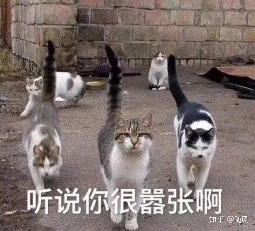 裸聊遭勒索,小心别中美人计