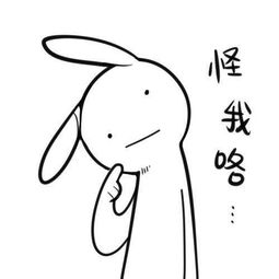 求问微信表情包名字