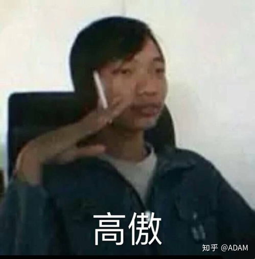 似懂非懂表情包高情商