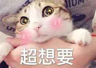 卖萌表情包小可爱波特兰