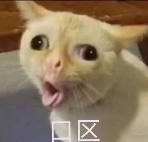 mi