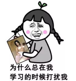 唯有此专业可一夜暴富,其他办法都被列入了刑法里面
