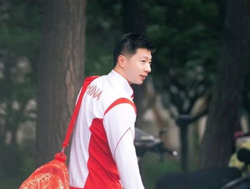 王楠我打球这么多年,最佩服俩人,一个是张怡宁,一个就是马龙