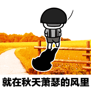 17级超强台风登陆英德未来一周将受雷雨袭击气温急降