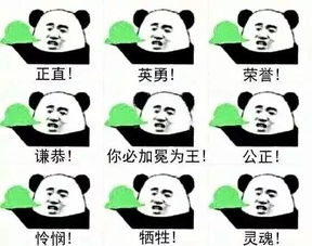 老实人保护计划,了解一下