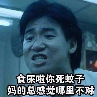 蚊子的图片表情包编程