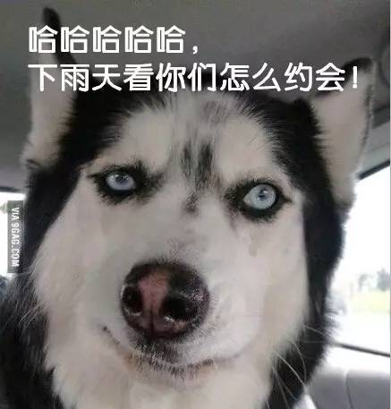 新台风又生成了或成今年首个超强台风南平七夕天气将