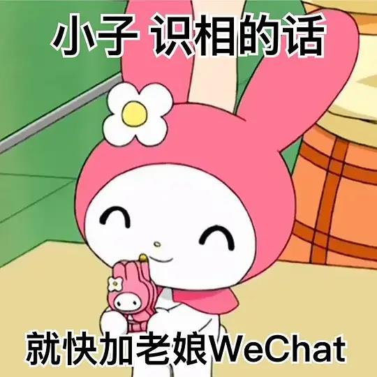 美乐蒂的表情包你值得拥有