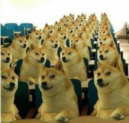 表情包狗子今天16岁了,还有人没用过dogedog的表情包嘛