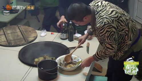 野生厨房汪涵用掏蚂蚁窝的刀切食物,林彦俊却不敢说,表情复杂