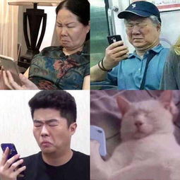 穿奇装异服是被公司强迫陈志朋回应称那是他自己的审美观