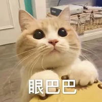 有趣表情包