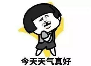 今日立夏丨晴暖天蓝,鲅鱼圈最高气温21,明天开始会更热