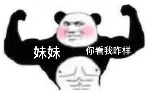 熊猫头表情包i我来了姐妹