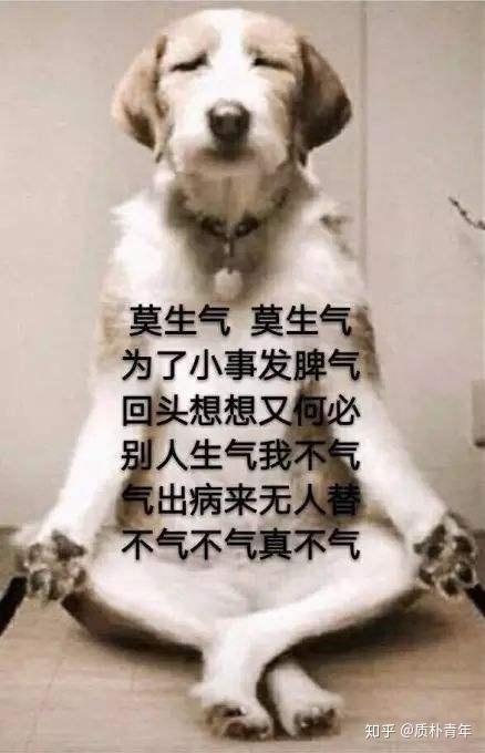2019年产品工作总结