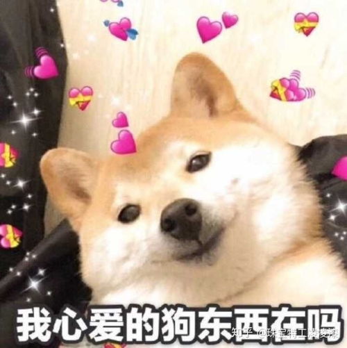 有哪些问女孩子在不在的表情包