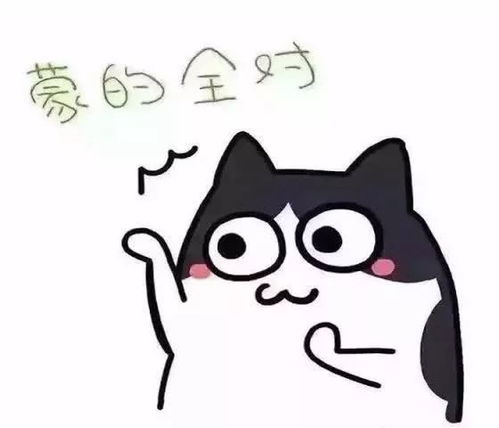 这儿有一份考试攻略,请查收