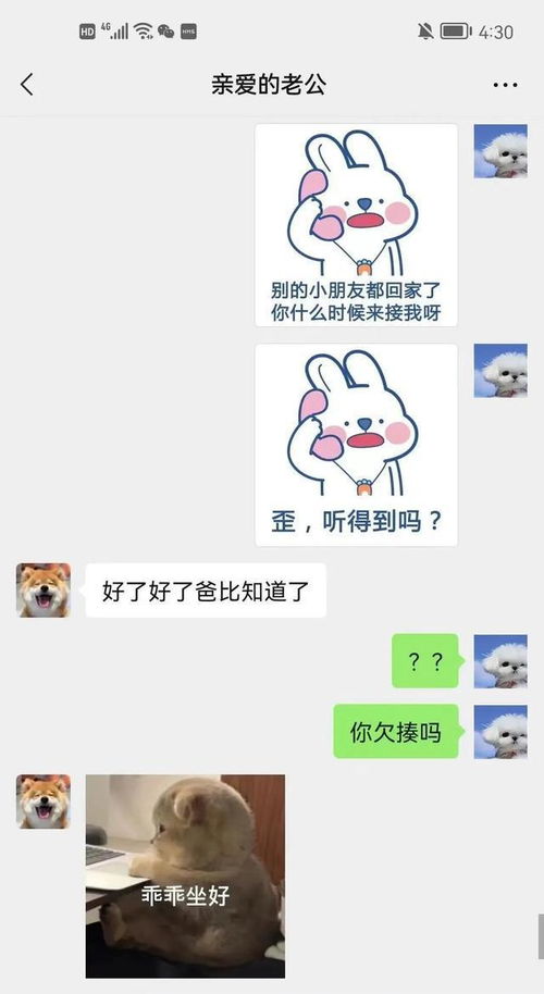 和对象聊天时发过的表情包,太好笑了吧哈哈哈哈