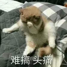 瞒着父母给他们买保险,真的很坑你知道吗