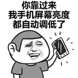 在新西兰比防秃更重要的是防晒