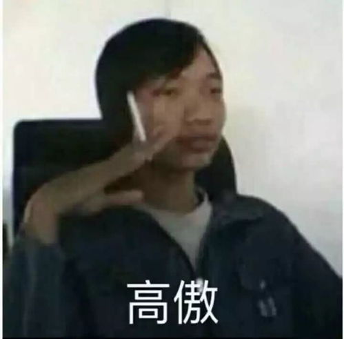 快手上很火的表情包摸清