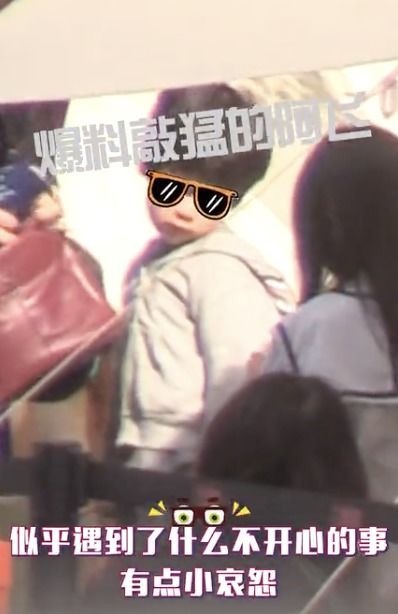baby和李诞户外谈笑风生,黑眼圈抢镜素颜憔悴,小海绵表情显哀怨