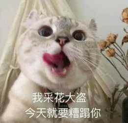 微信不回,这爱情还要不要继续了