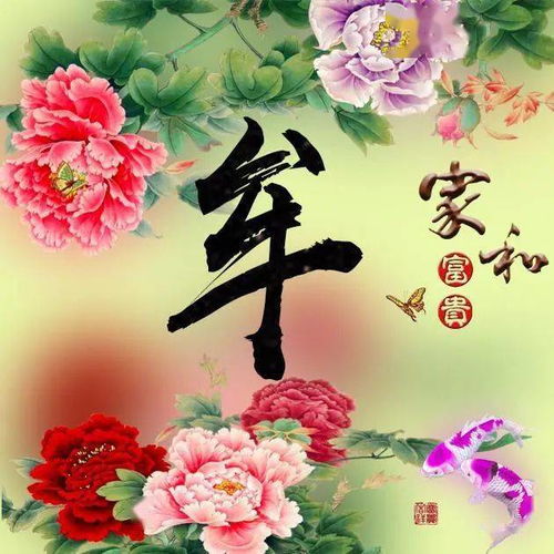 牡丹花开美不胜收换作自己的头像,花开富贵
