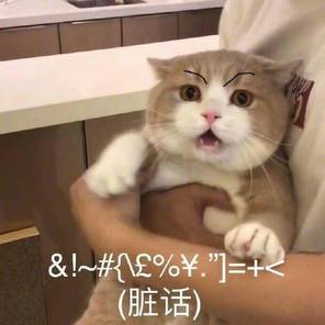 俄罗斯的成人版抖音下周就要关停