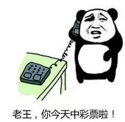 抱大腿图片表情包大乐透