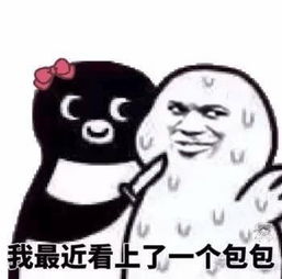 老公老婆日常聊天表情包,情侣必备