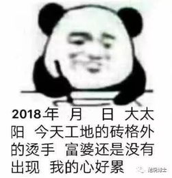 有个很逗的媳妇是怎样的感受哈哈哈哈笑出腹肌