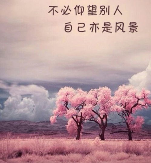 粤嵌lofter乐乎让兴趣,更有趣