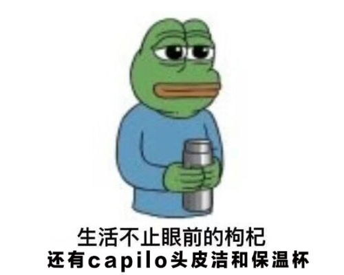 微信哔哩哔哩表情包青蛙