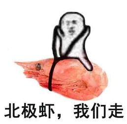 皮皮虾我们走开启记仇模式17.2.7